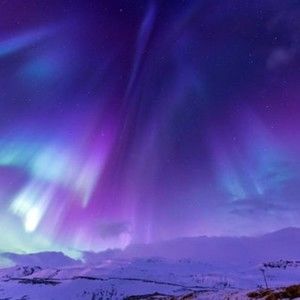 Meet your Posher, Genesis